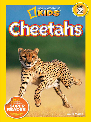 cover image of Cheetahs
